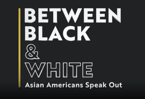 Between Black and White: Asian Americans Speak Out - A Seat at the Table