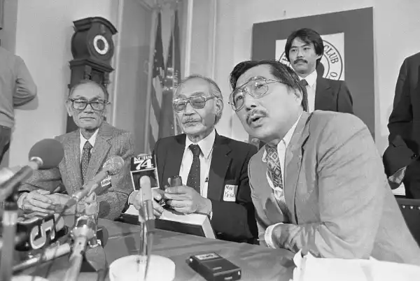 Cross Racial Solidarity movements and the formation of the Asian American Identity