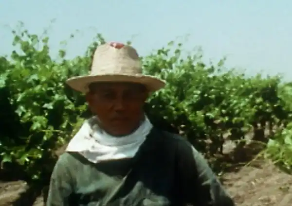 Larry Itliong: Unity of Filipino and Mexican Farmworkers